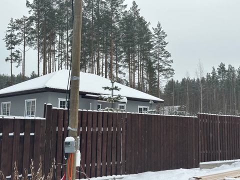 IMG_4223 5.jpeg